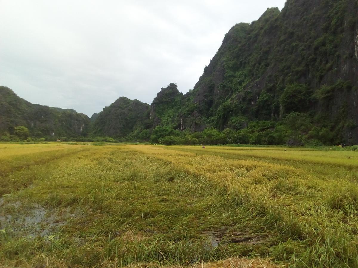 Tam Coc Smile Homestay Ninh Binh Exterior photo
